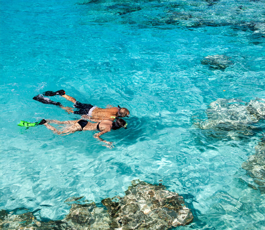 Supporting your partner Menopause Alliance Australia